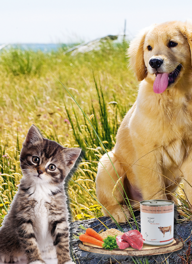 Hund/Katze/Pferd verantwortungsvoll ernähren! - Olvidamar